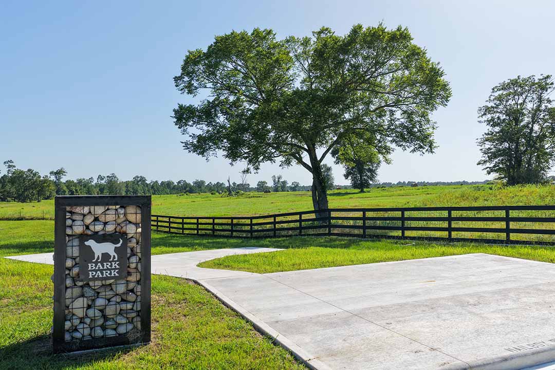 Bark Park lawn, path and ranch fencing beneath a mature oak tree