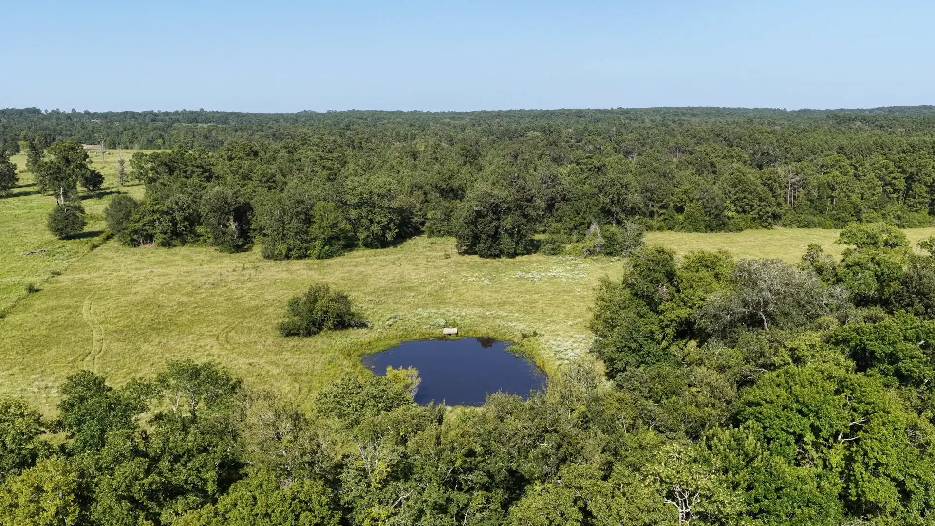 Aerial view of Whitetail Ranch land with a pond among open meadow and trees