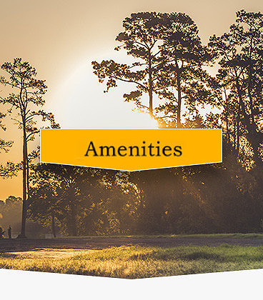 Acreage for Sale