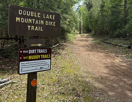 Explore the Area
